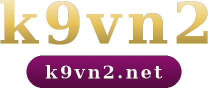 k9vn2 logo